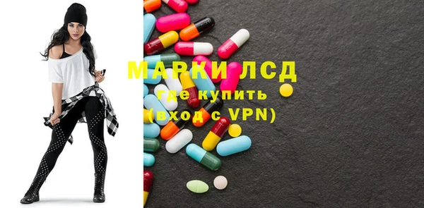 МДПВ Инсар